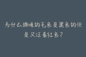 为什么猫咪的毛色是黑色的但是又泛着红色？