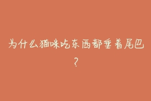 为什么猫咪吃东西都垂着尾巴？