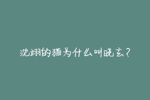 沈翊的猫为什么叫晓玄？