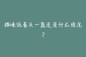 猫咪低着头一直走是什么情况？