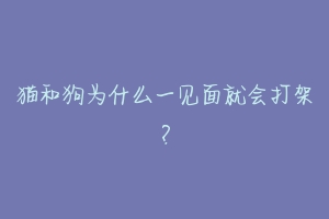 猫和狗为什么一见面就会打架？