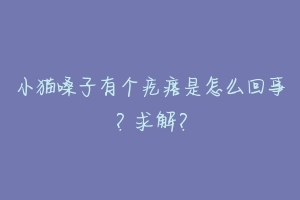 小猫嗓子有个疙瘩是怎么回事？求解？