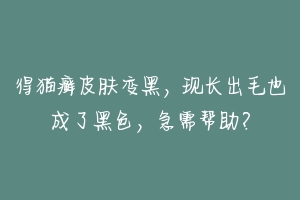 得猫癣皮肤变黑，现长出毛也成了黑色，急需帮助？