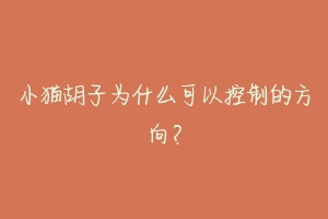 小猫胡子为什么可以控制的方向？