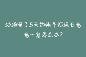 幼猫喝了5天的纯牛奶现在奄奄一息怎么办？