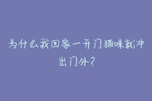 为什么我回家一开门猫咪就冲出门外？