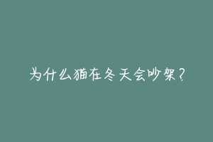 为什么猫在冬天会吵架？