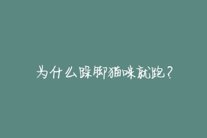 为什么跺脚猫咪就跑？