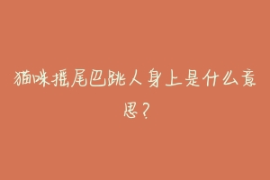 猫咪摇尾巴跳人身上是什么意思？