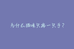 为什么猫咪只揣一只手？