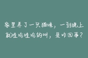 家里养了一只猫咪，一到晚上就哇呜哇呜的叫，是咋回事？