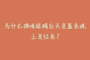 为什么猫咪眼睛白天是蓝色晚上是红色？