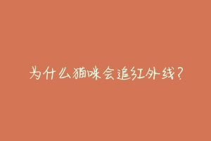 为什么猫咪会追红外线？