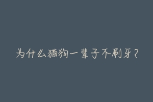 为什么猫狗一辈子不刷牙？