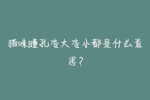 猫咪瞳孔变大变小都是什么意思？