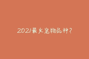 2021最火宠物品种？