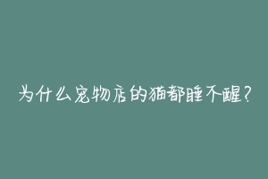 为什么宠物店的猫都睡不醒？