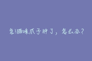 急!猫咪爪子肿了，怎么办？