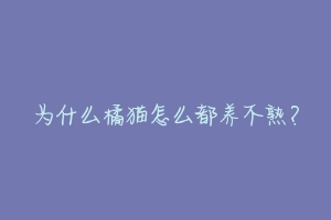 为什么橘猫怎么都养不熟？