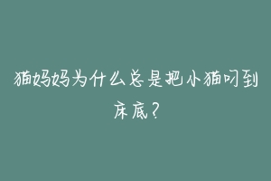 猫妈妈为什么总是把小猫叼到床底？