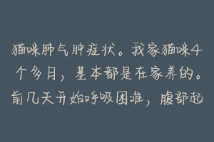 猫咪肺气肿症状。我家猫咪4个多月，基本都是在家养的。前几天开始呼吸困难，腹部起伏大，现在都用嘴？