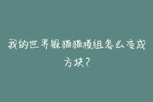 我的世界躲猫猫模组怎么变成方块？