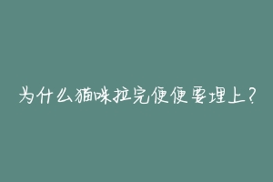 为什么猫咪拉完便便要埋上？