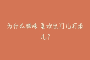 为什么猫咪 喜欢出门儿打滚儿？