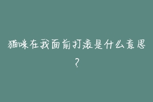 猫咪在我面前打滚是什么意思？