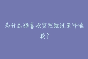 为什么猫喜欢突然跳过来吓唬我？