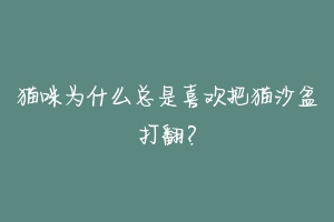 猫咪为什么总是喜欢把猫沙盆打翻？