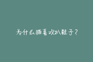 为什么猫喜欢扒鞋子？