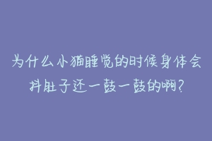 为什么小猫睡觉的时候身体会抖肚子还一鼓一鼓的啊？