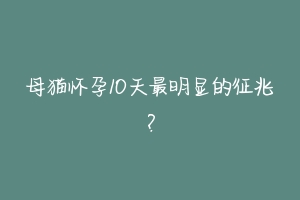 母猫怀孕10天最明显的征兆？