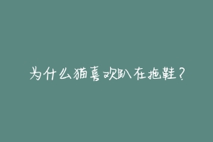 为什么猫喜欢趴在拖鞋？