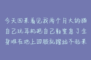 今天回来看见我两个月大的猫自己玩耳机把自己勒窒息了全身滩在地上四肢乱蹬站不起来躺在地上嚎叫眼睛外凸？