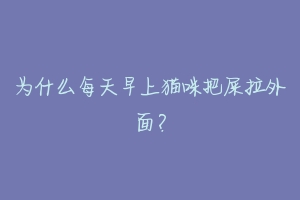 为什么每天早上猫咪把屎拉外面？