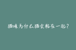 猫咪为什么猫会粘在一起？