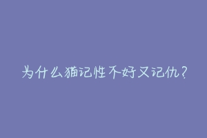 为什么猫记性不好又记仇？