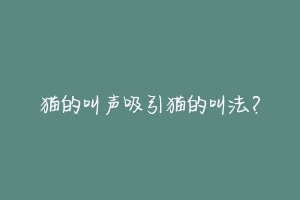 猫的叫声吸引猫的叫法？