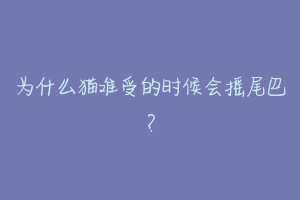 为什么猫难受的时候会摇尾巴？