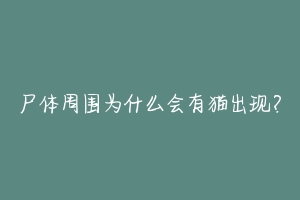 尸体周围为什么会有猫出现？