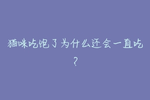 猫咪吃饱了为什么还会一直吃？