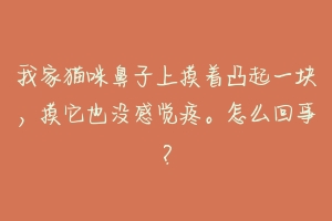 我家猫咪鼻子上摸着凸起一块，摸它也没感觉疼。怎么回事？