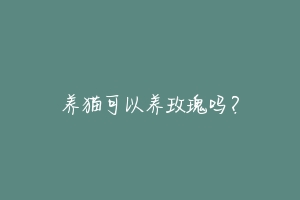 养猫可以养玫瑰吗？