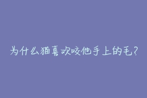 为什么猫喜欢咬他手上的毛？