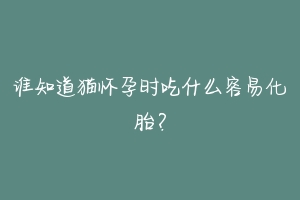 谁知道猫怀孕时吃什么容易化胎？