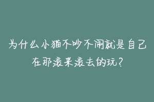 为什么小猫不吵不闹就是自己在那滚来滚去的玩？