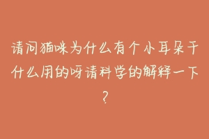 请问猫咪为什么有个小耳朵干什么用的呀请科学的解释一下？