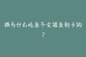 猫为什么吃鱼不会被鱼刺卡的？